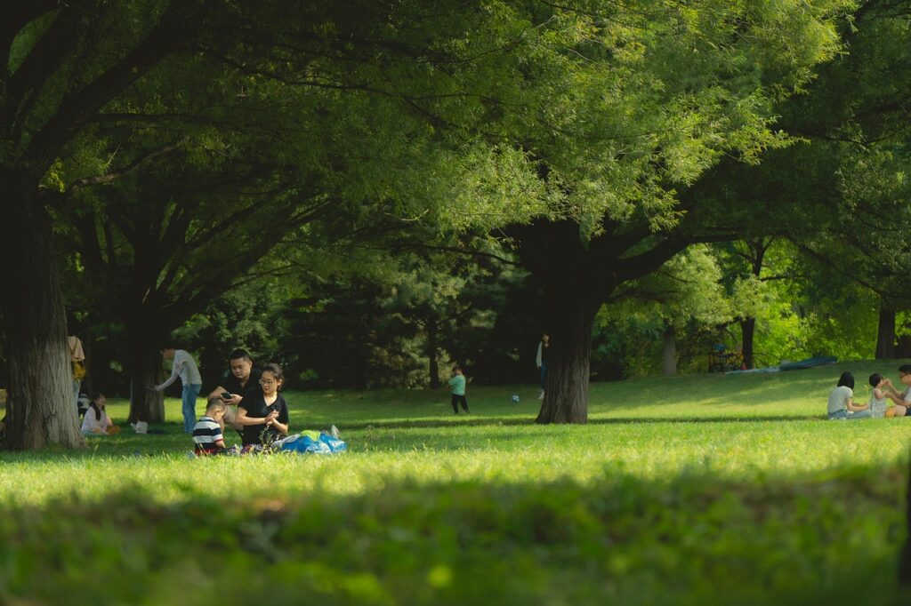 people, park, picnic, grass, asian, asian families, asian people, trees, foliage, undergrowth, families, leisure, nature, landscape, outdoors, picnic, picnic, picnic, picnic, picnic